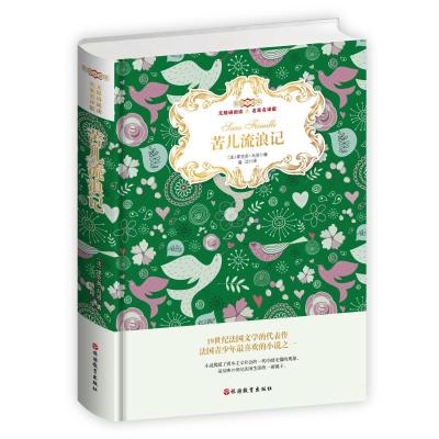 苦儿流浪记/著名翻译家唐珍教授彩绘插图全译本(精装)