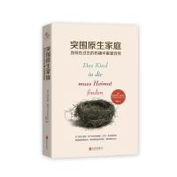 突围原生家庭:如何在过去的伤痛中重建自我/(德)斯蒂芬妮.斯蒂尔