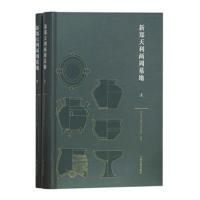 新郑天利两周墓地(全二册)