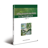 苹果抗炭疽菌叶枯病基因的分子标记及遗传定位 刘源霞 种植业 专业科技 中国农业科学技术出版社978751164215