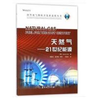 天然气----21世纪能源