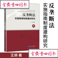 反垄断法实施指南制度建构研究|王炳|知识产权出版社|9787513061315
