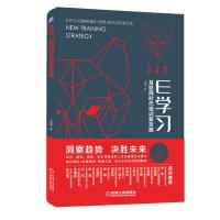 [出版社直供]E学习 互联网时代培训新攻略 王建华 互联网商业模式思维技术培训 项目品牌化O2O混合式培训微课制作知