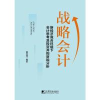 战略会计:新经济竞合环境下会计会计思考及投资并购财税分析