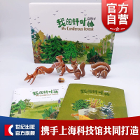 我的针叶林 自然DIY 亲子互动 科普绘本 科普读物 自然科学 少年儿童出版社