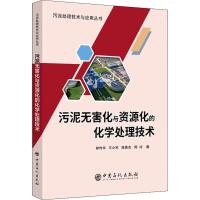 污泥无害化与资源化的化学处理技术
