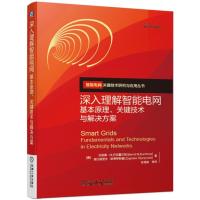 深入理解智能电网:基本原理.关键技术与解决方案