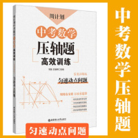 周计划中考数学压轴题高效训练匀速动点问题答案详解版2019初三数学必刷专项强化专题训