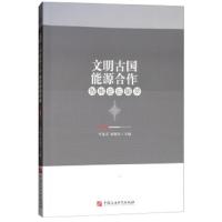 文明古国能源合作智库论坛集萃