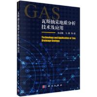 瓦斯抽采地质分析技术及应用