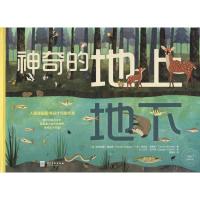 神奇的地上地下