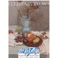 [M]敲门砖.色彩风暴系列美术丛书:色彩静物(倪继正讲调色)-9787229054052