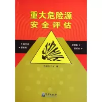 [M]重大危险源安全评估(新方法、实例、模板、标准)-9787502948832