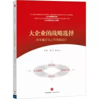 [M]大企业的战略选择-9787508649511