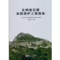[M]北响堂石窟加固保护工程报告-9787030263261