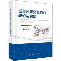 城市污泥厌氧消化理论与实践