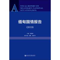 缅甸国情报告(2019)