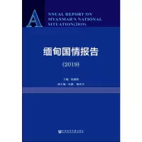 缅甸国情报告(2019)