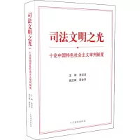 司法文明之光:十论中国特色社会主义审判制度
