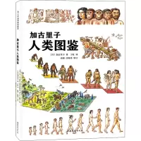 加古里子人类图鉴