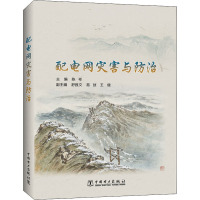 配电网灾害与防治