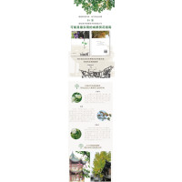 街巷里的四季:成都草木寻踪