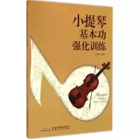 [M]小提琴基本功强化训练-9787539651149