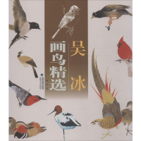 [M]吴冰画鸟精选-9787539333229