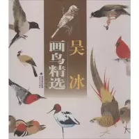 [M]吴冰画鸟精选-9787539333229