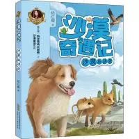 沙漠运动会/沙漠奇遇记