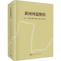 黄河河道整治