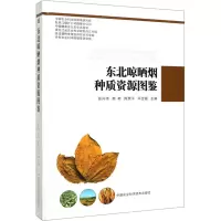 东北晾晒烟种质资源图鉴