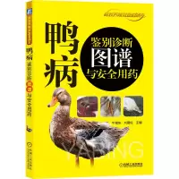鸭病鉴别诊断图谱与安全用药/高效养殖致富直通车