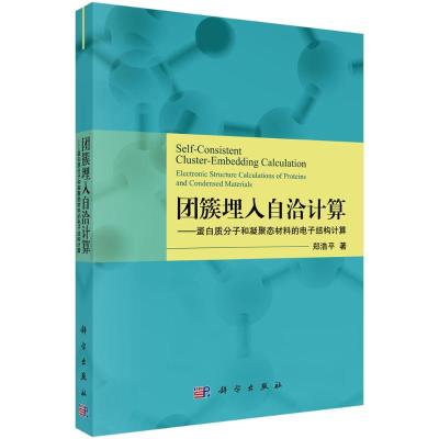 团簇埋入自洽计算/蛋白质分子和凝聚态材料的电子结构计算