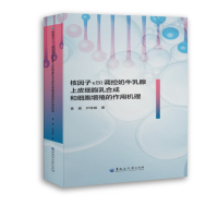 核因子κB1调控奶牛乳腺上皮细胞乳合成和细胞增殖的作用机理
