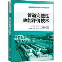 管道完整性效能评价技术