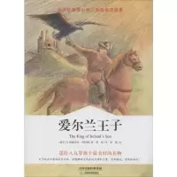 [M]爱尔兰王子-9787530975725