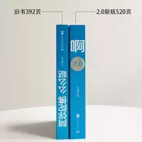 啊2.0/大冰