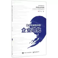 [N]数字化转型中的企业进化-9787121369599