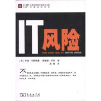 [M]IT风险-9787100073684