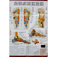 [N]足部反射区挂图-75641448