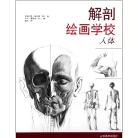 [M]解剖绘画学校:人体-9787533032630