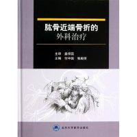 [M]肱骨近端骨折的外科治疗-9787565906107