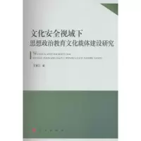 [M]文化安全视域下思想政治教育文化载体建设研究-9787010143019