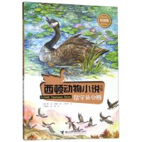 [N]留守的公雁(彩绘版)/西顿动物小说全集-9787544859875
