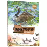 [N]留守的公雁(彩绘版)/西顿动物小说全集-9787544859875