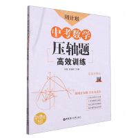 [N]中考数学压轴题高效训练(圆答案详解版)/周计划-9787562860198