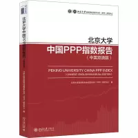北京大学中国PPP指数报告(中英双语版)