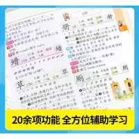 彩图版小学生全功能字典