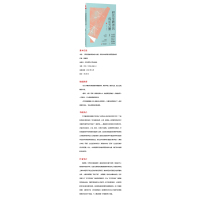 研究型教师的成长力量(经典文本解读与高品质教学)/大夏书系
